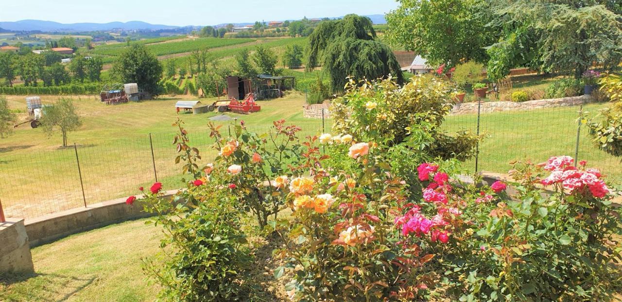 Casina Di Pacina Villa Abbadia di Montepulciano Buitenkant foto